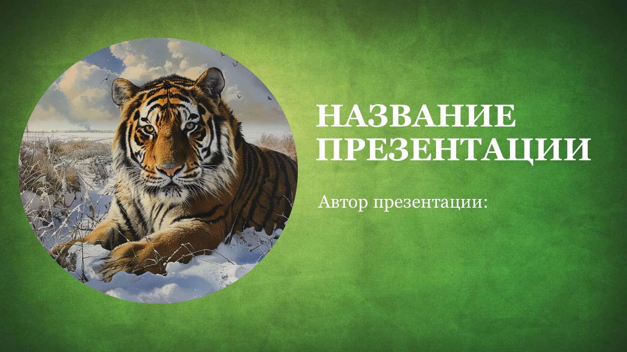 Презентация Амурский тигр 