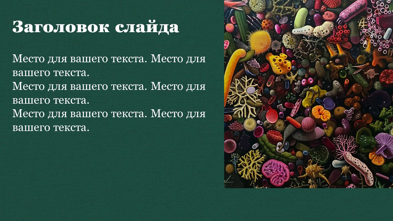 Презентация Бактерии в природе и жизни человека 