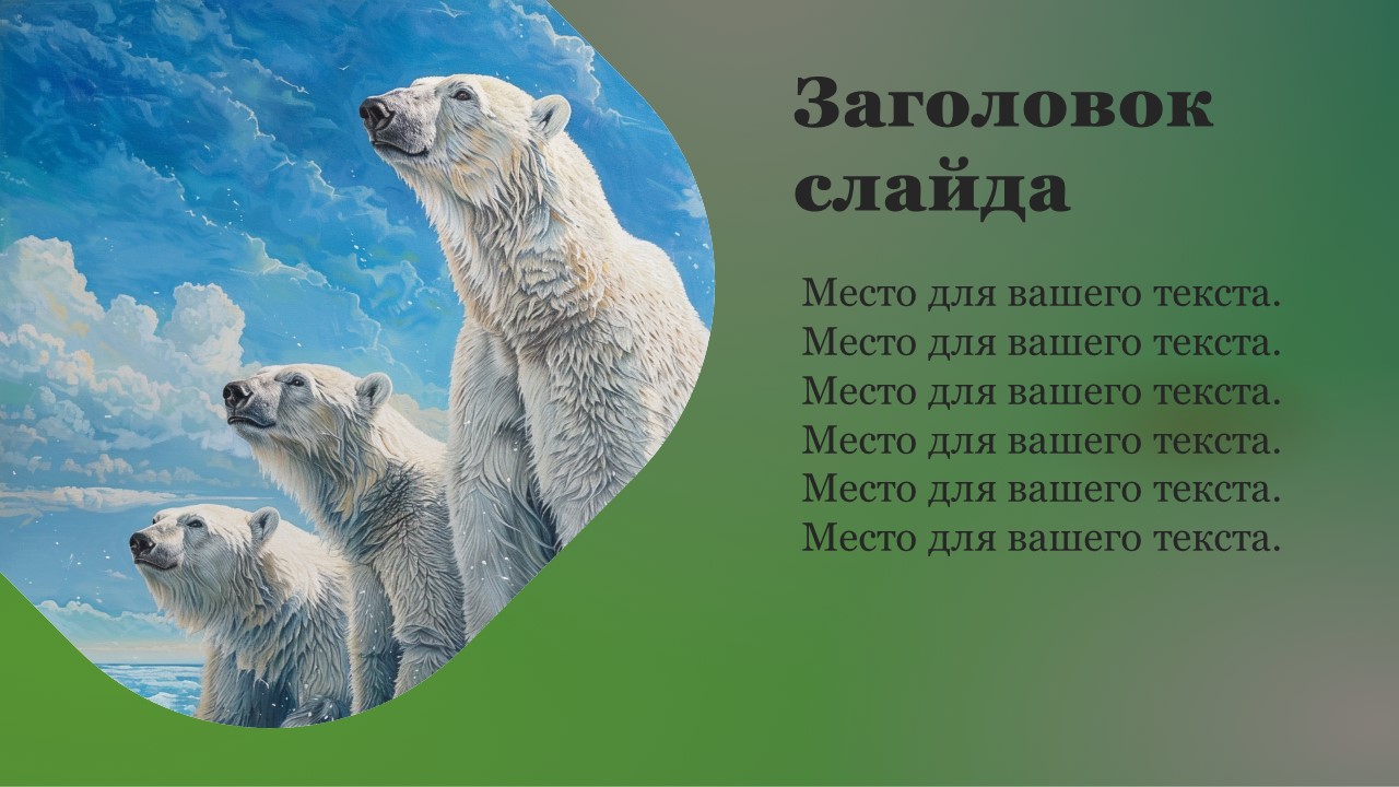 Презентация Белые медведи 