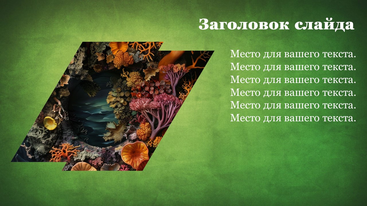 Презентация Бесчерепные 