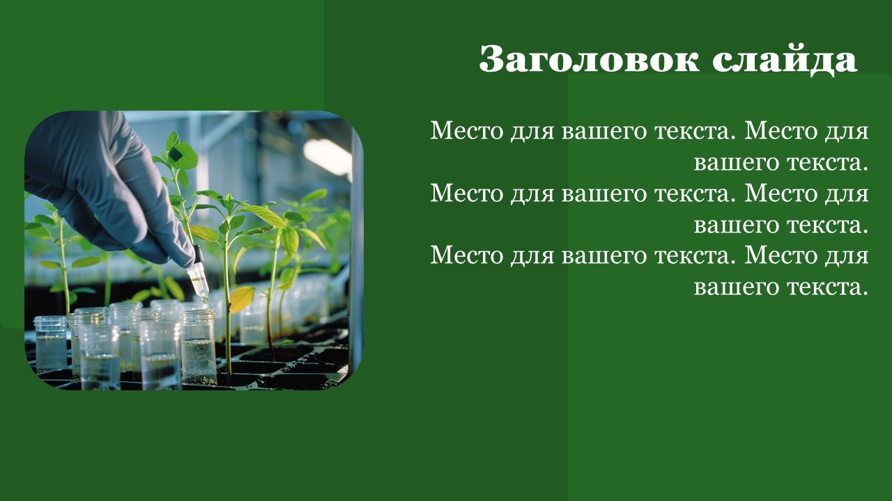 Презентация Биотехнология: достижения и перспективы развития 