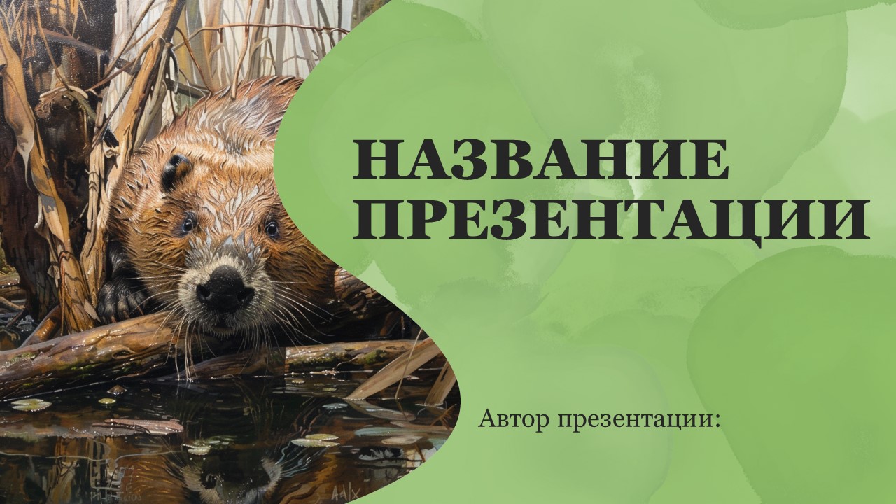 Презентация Бобр 