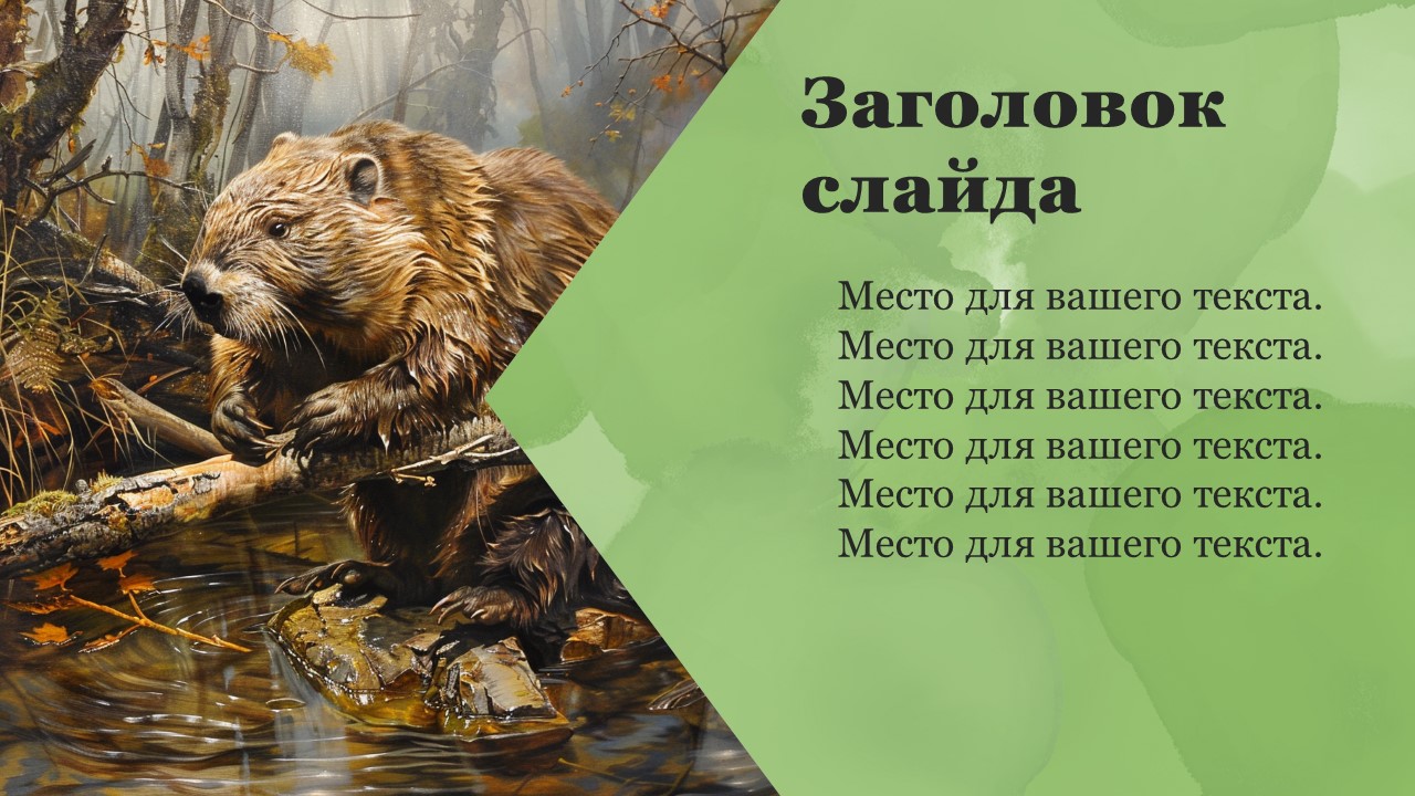 Презентация Бобр 