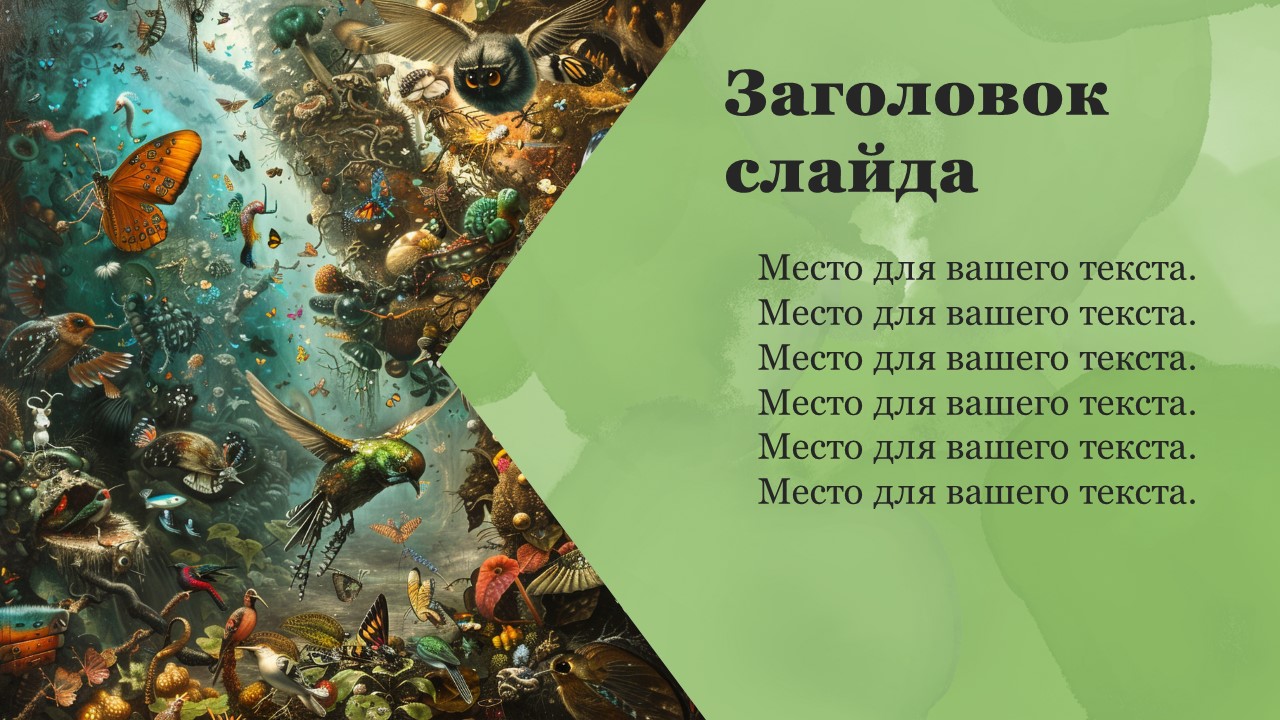 Презентация Царства организмов 