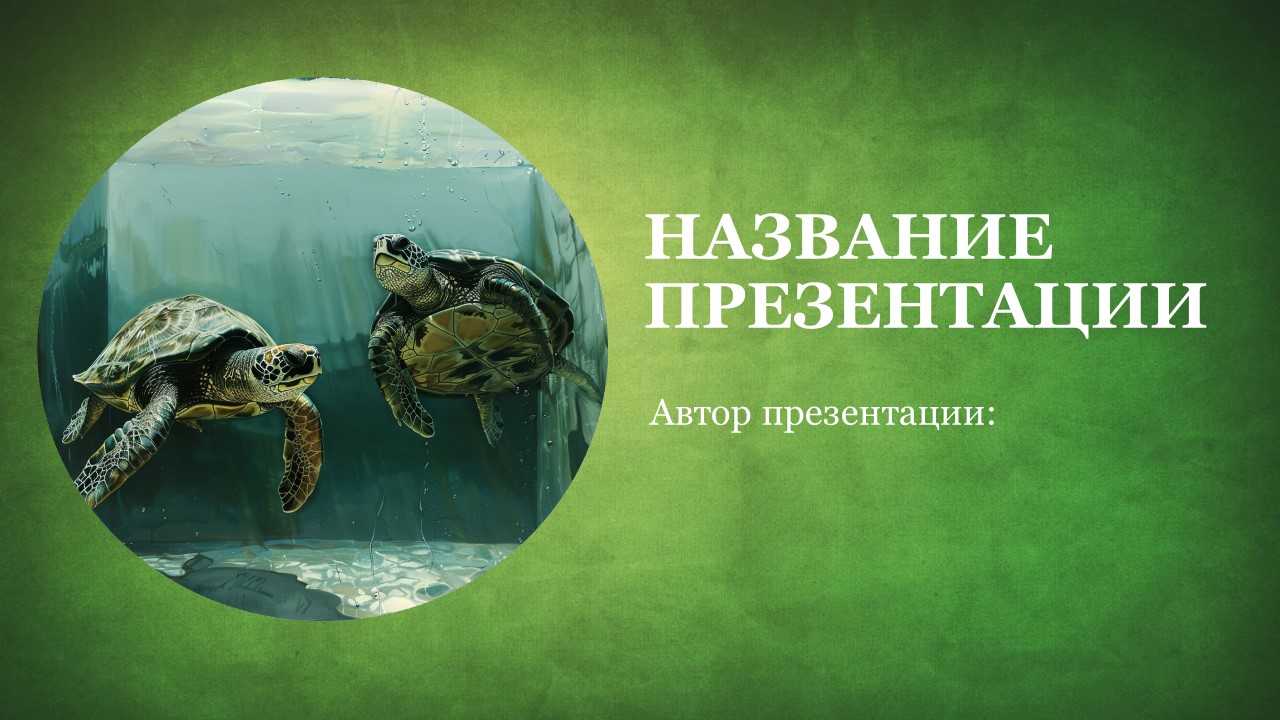 Презентация Черепахи 