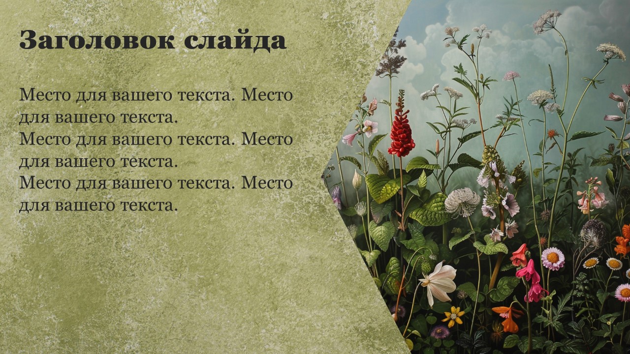 Презентация Дикорастущие и культурные растения 