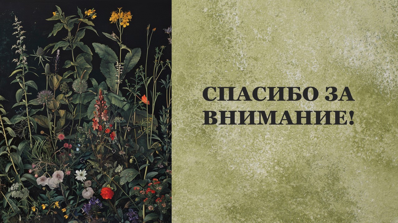 Презентация Дикорастущие и культурные растения 