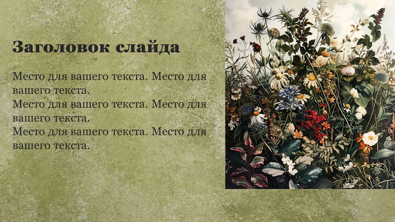 Презентация Дикорастущие растения 