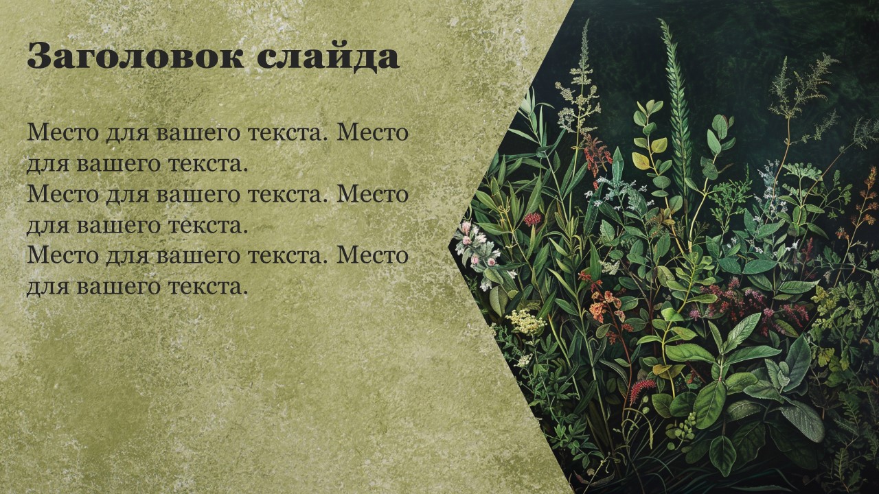 Презентация Дикорастущие растения 