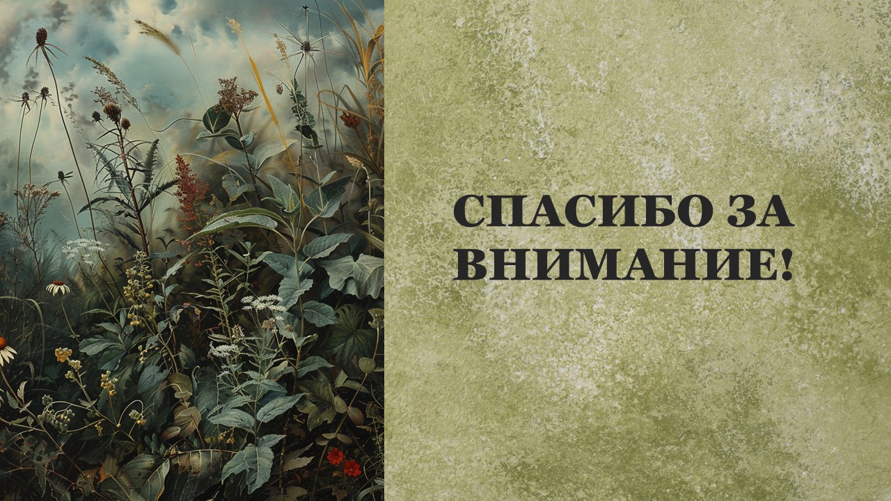 Презентация Дикорастущие растения 