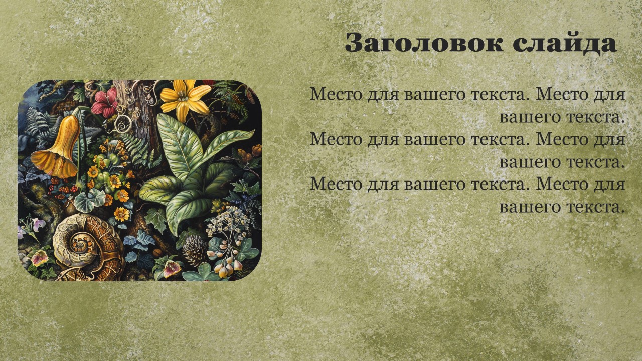 Презентация Двудольные растения 