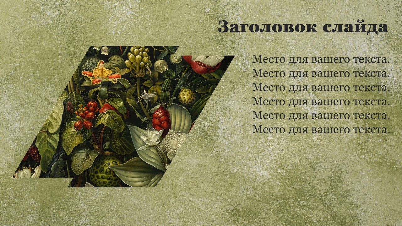 Презентация Двудольные растения 