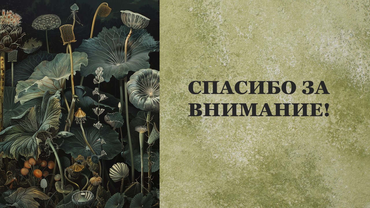 Презентация Двудольные растения 