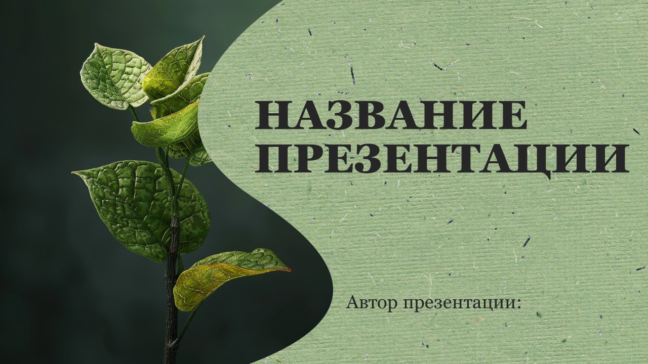 Презентация Двудольные 