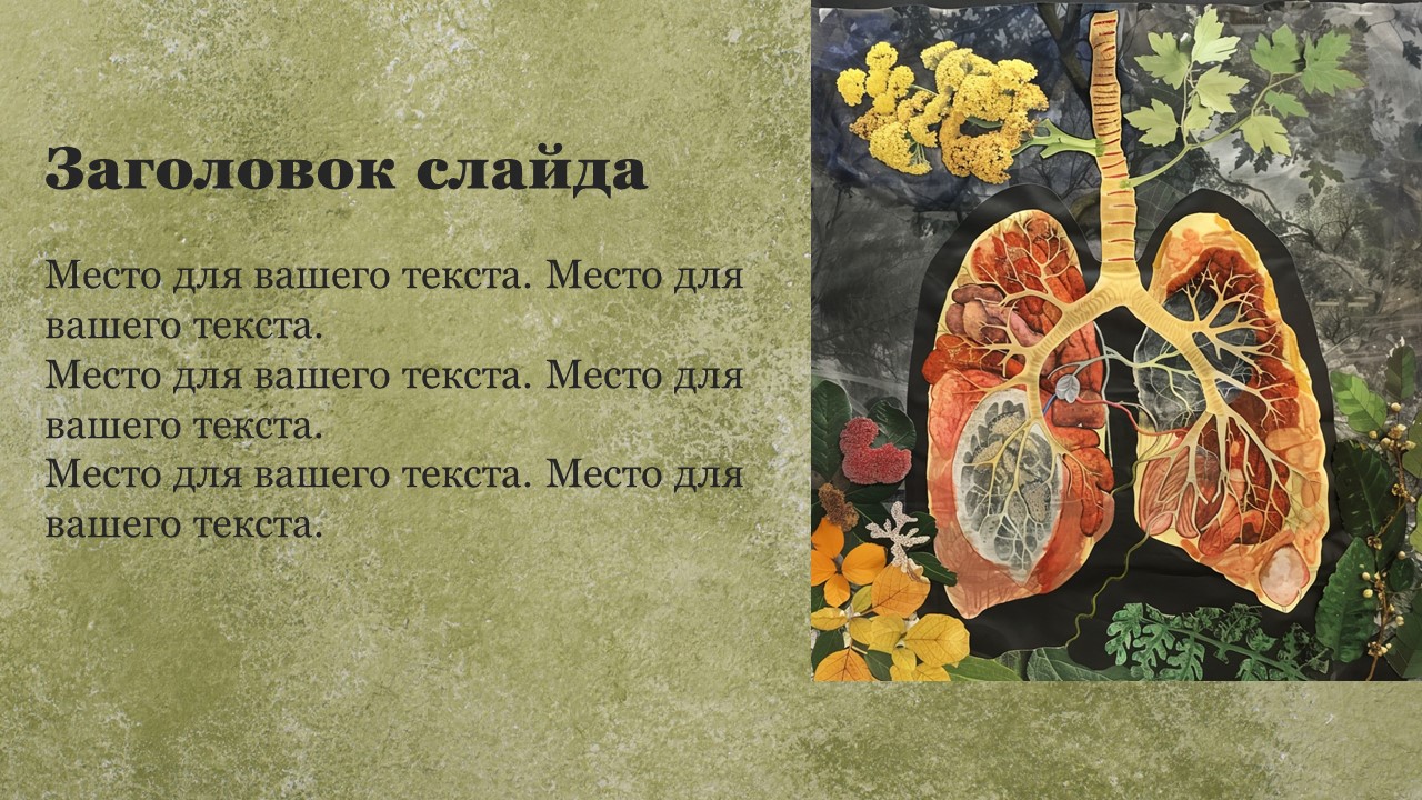 Презентация Дыхание у растений 6 класс 