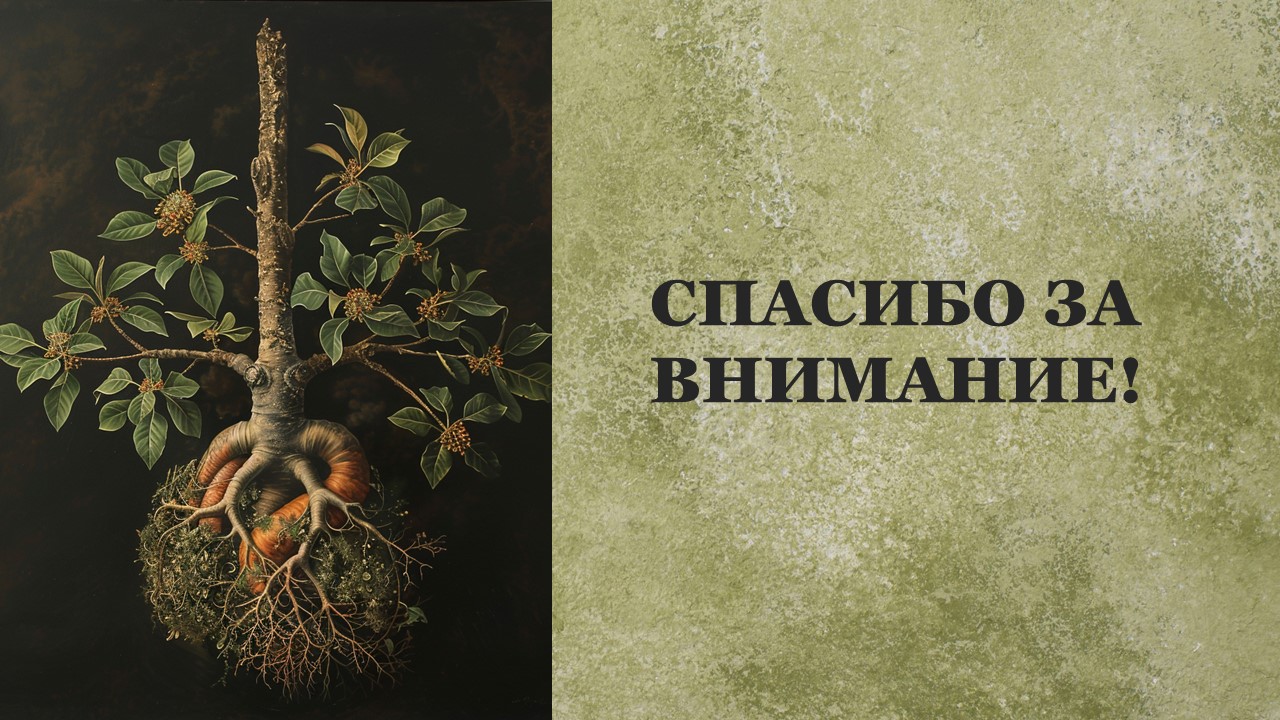 Презентация Дыхание у растений 