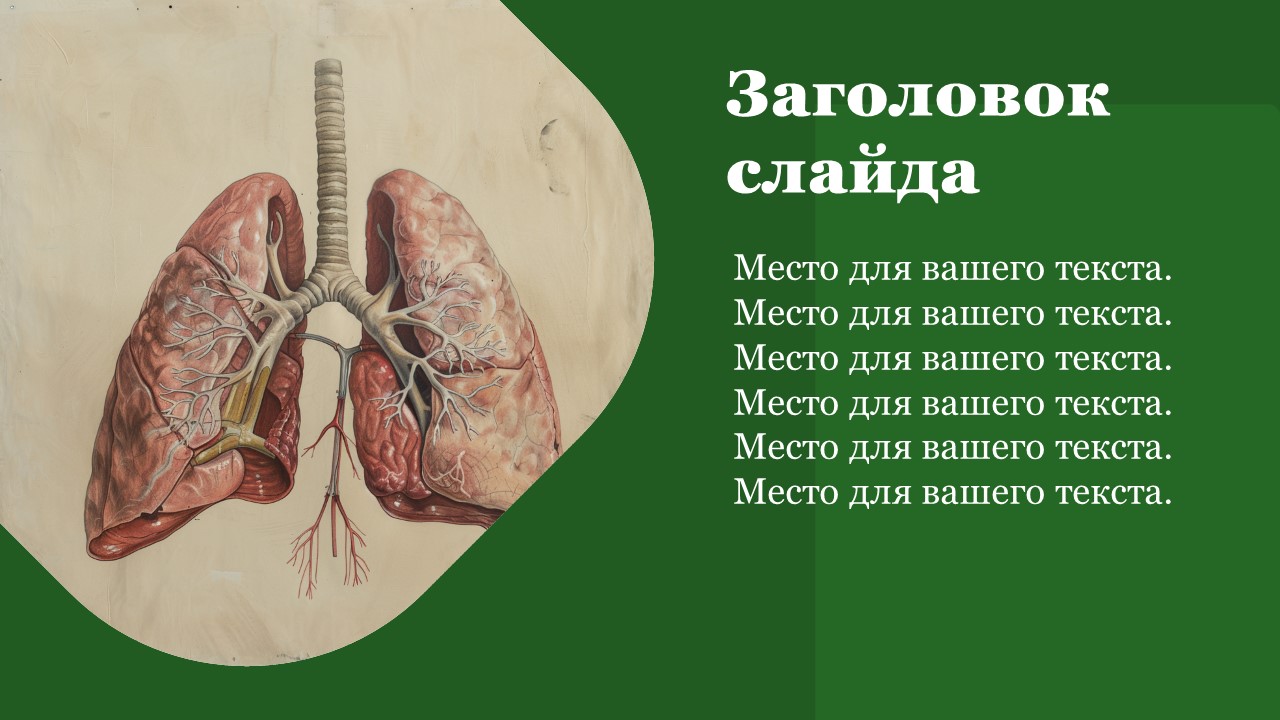 Презентация Дыхательная система человека 