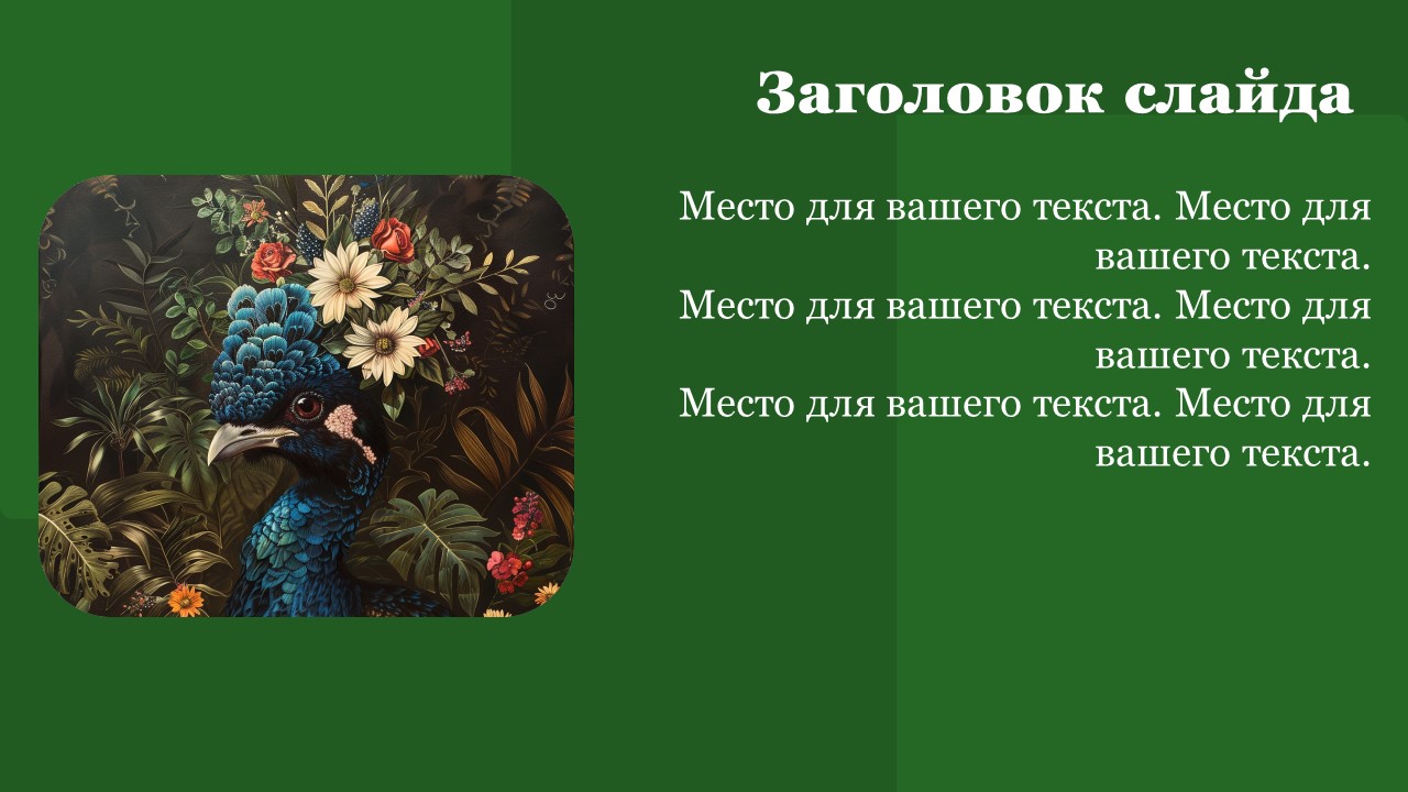 Презентация Фауна 