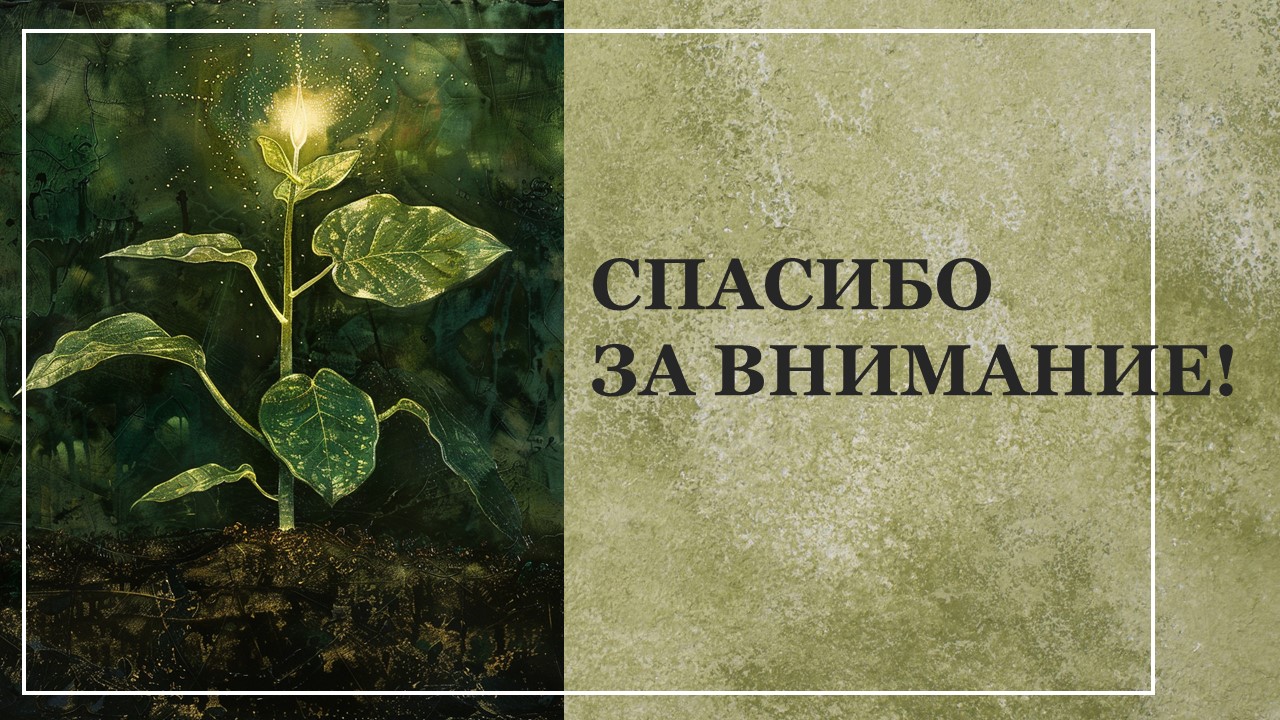 Презентация Фотосинтез и питание растений 