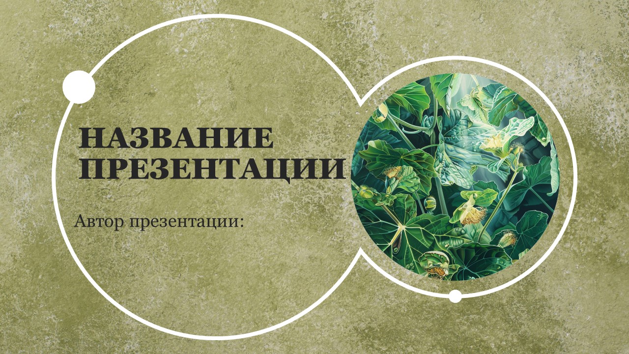 Презентация Фотосинтез растений 