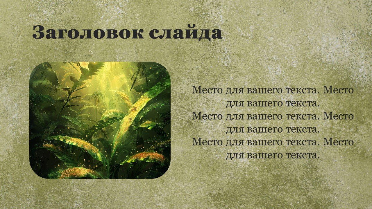 Презентация Фотосинтез растений 
