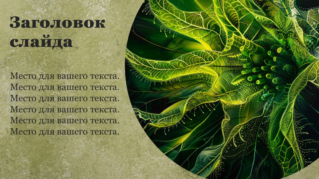 Презентация Фотосинтез растений 
