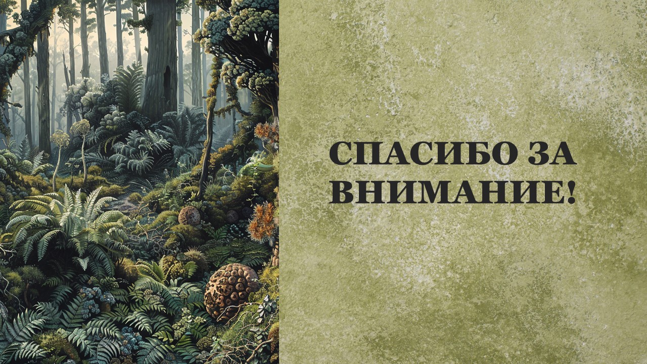 Презентация Голосеменные растения 