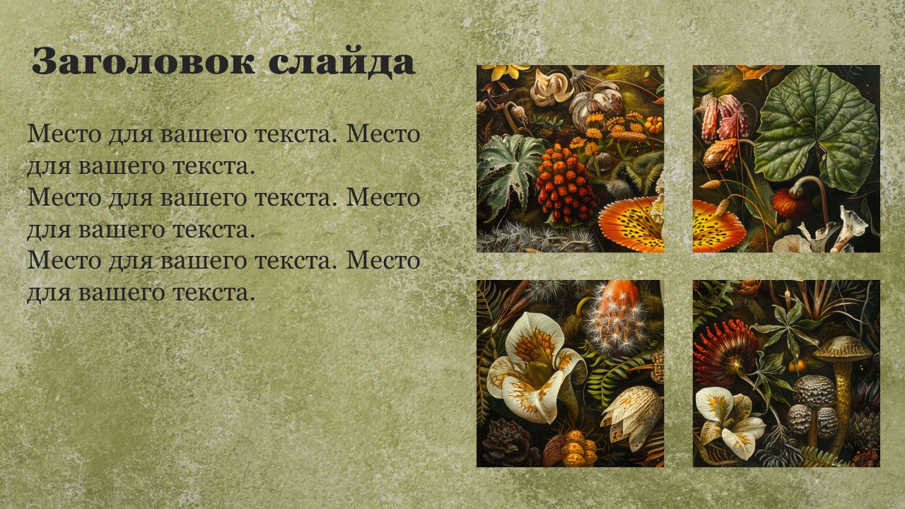 Презентация Характеристика царства растений 