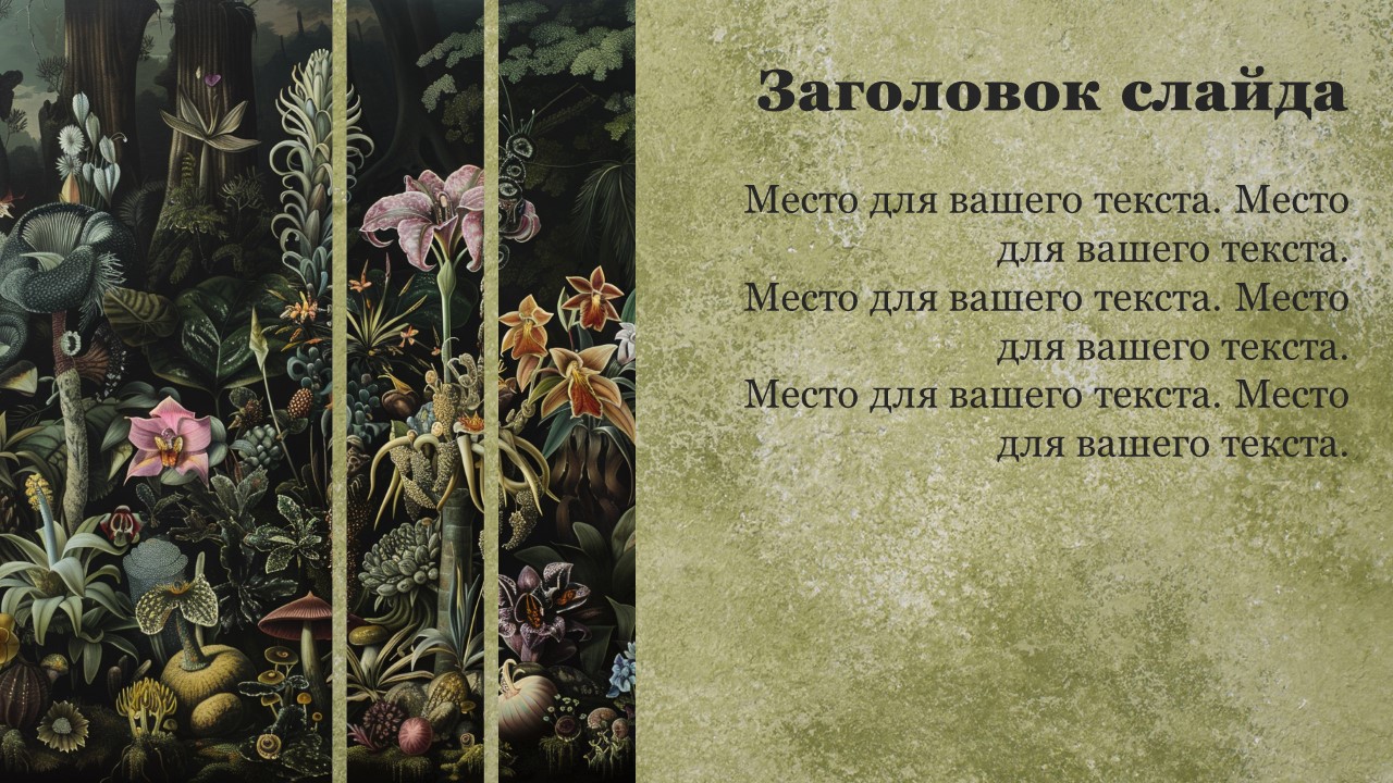 Презентация Характеристика царства растений 