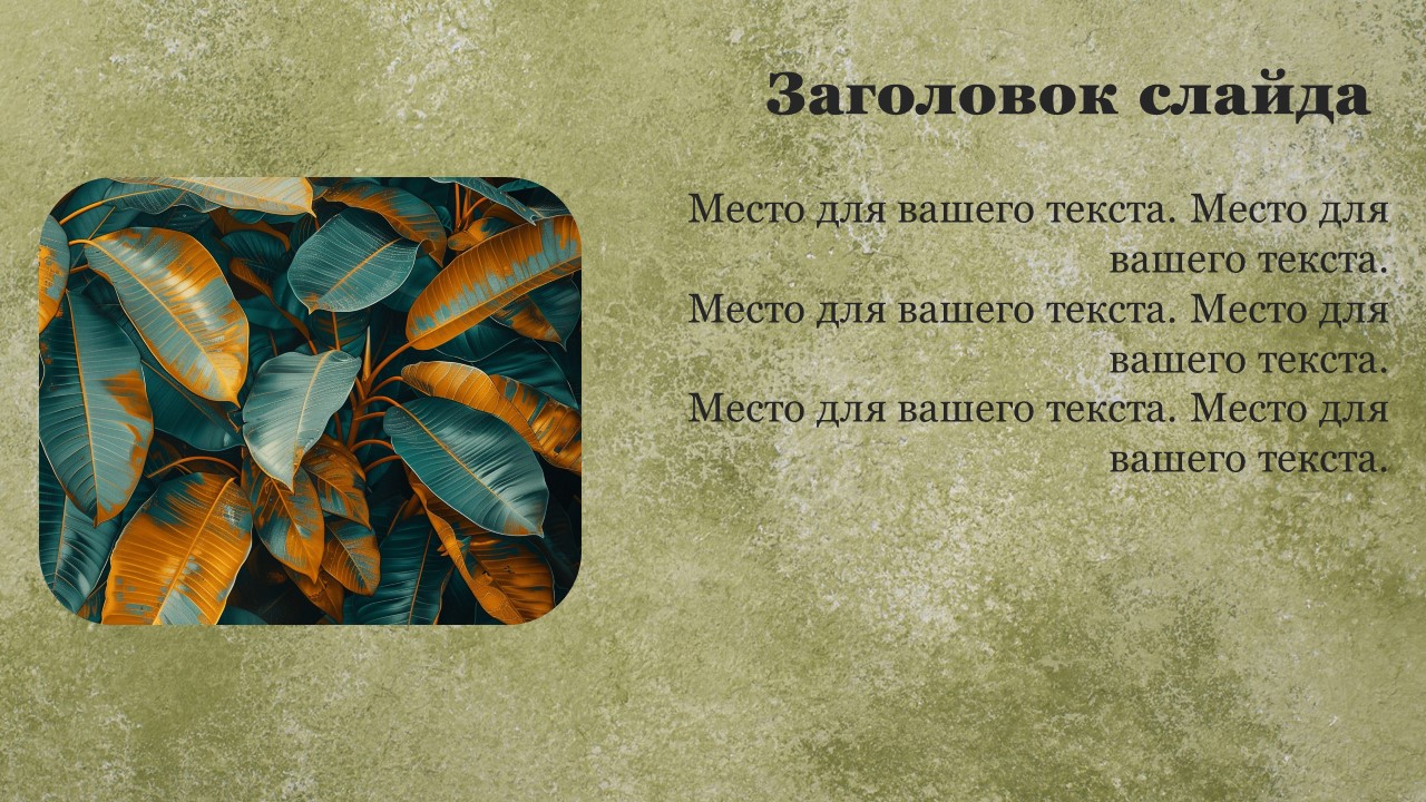 Презентация Характеристика растений 