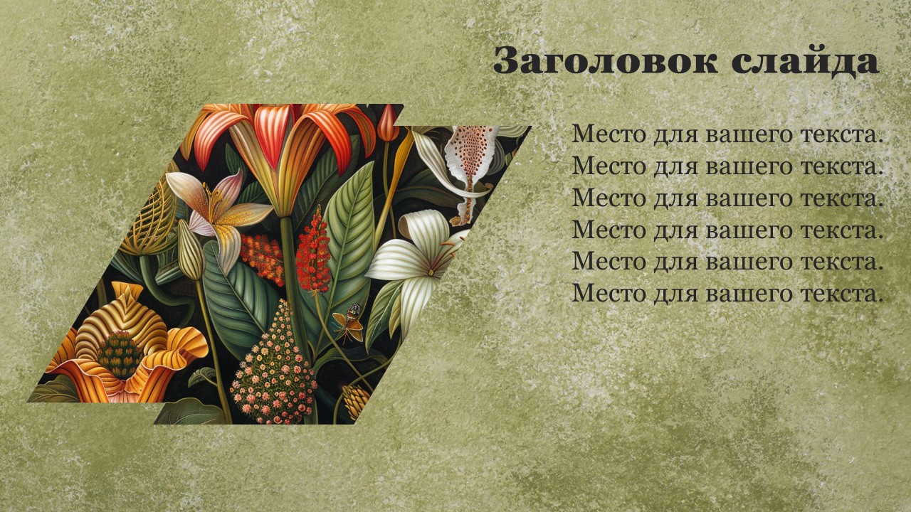 Презентация Характеристика растений 