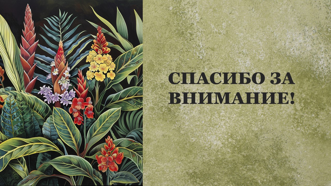 Презентация Характеристика растений 