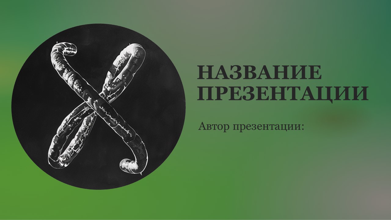 Презентация Хромосомная теория наследственности 