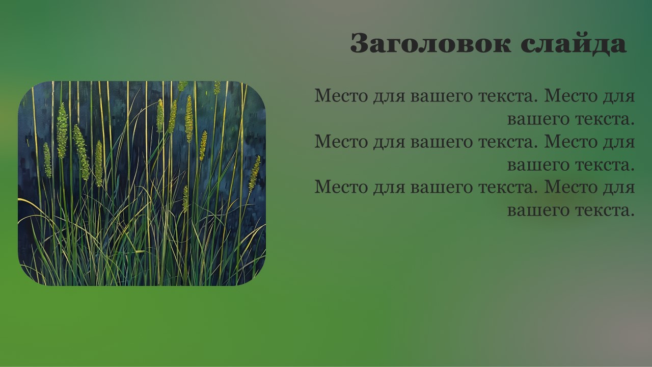 Презентация Хвощи 