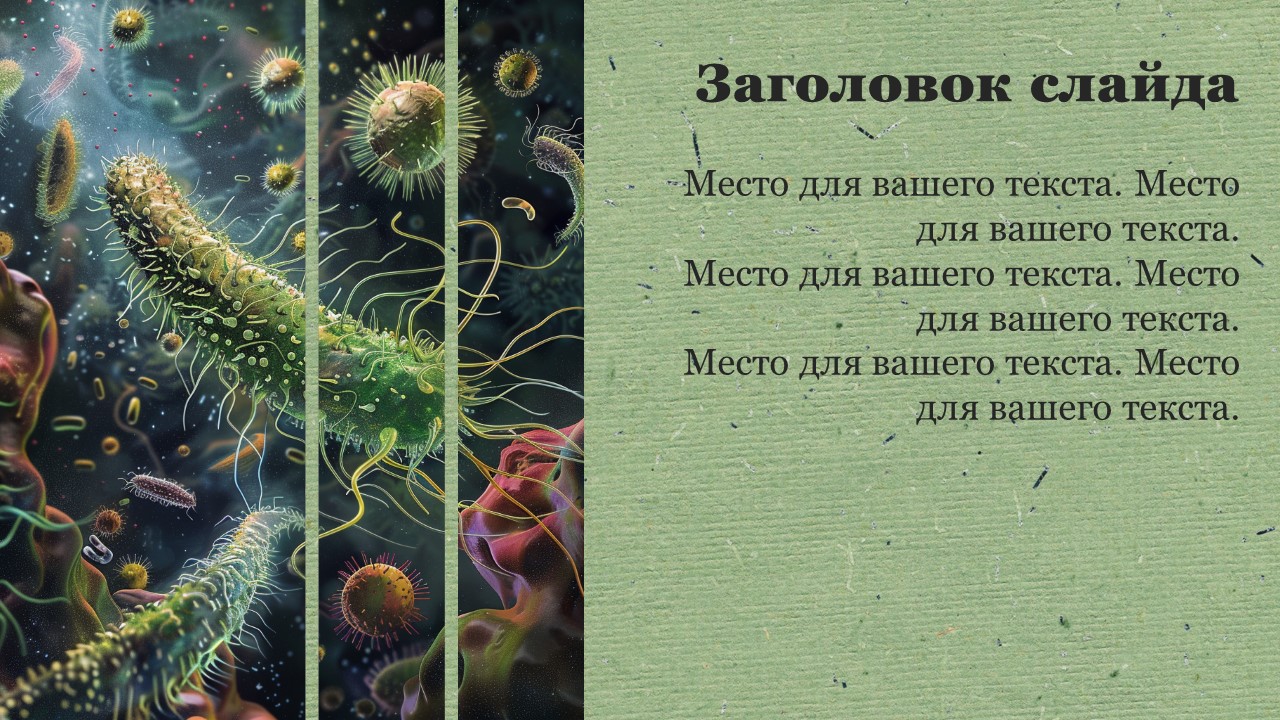 Презентация Иммунитет 