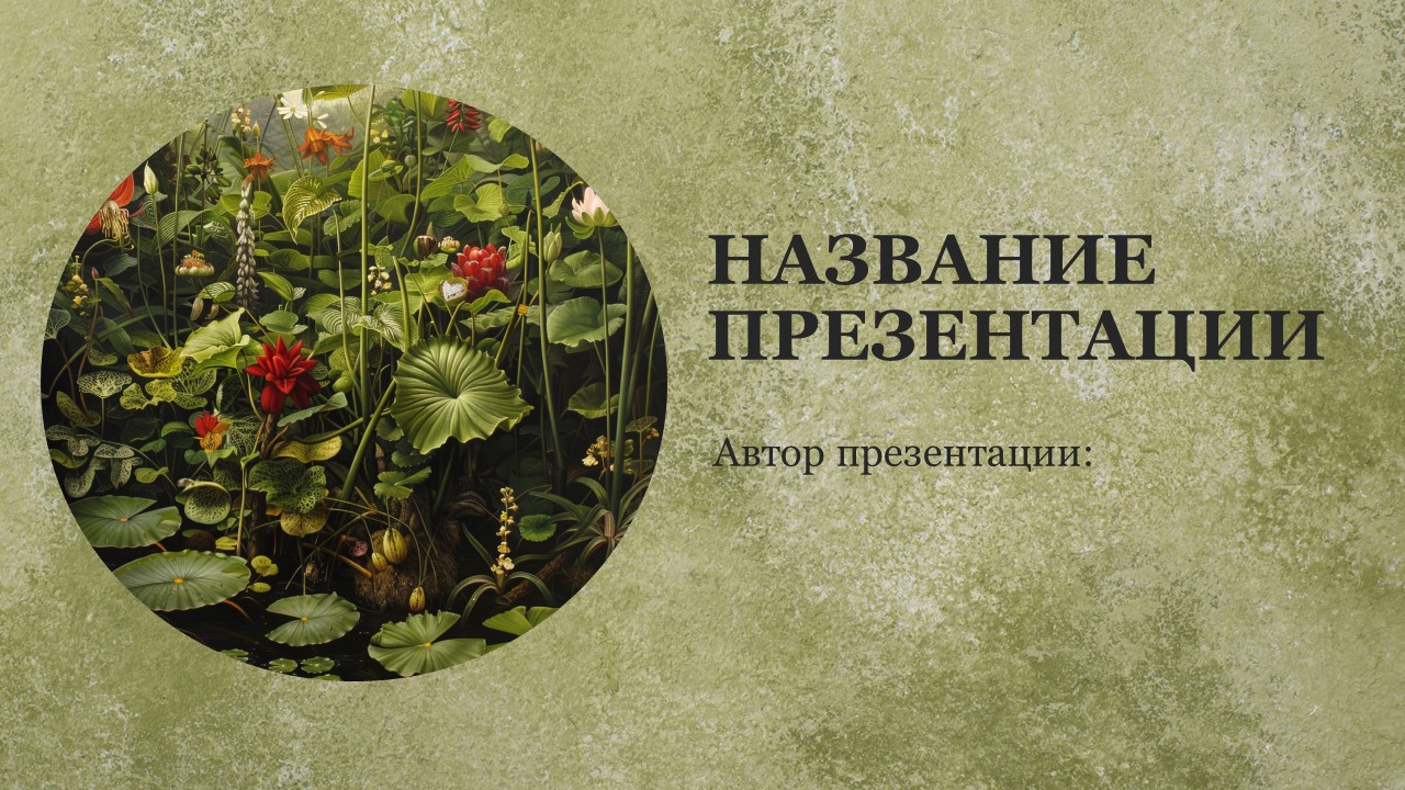 Презентация Класс двудольные растения 