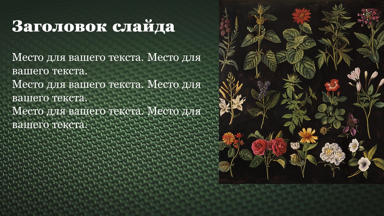 Презентация Классы покрытосеменных 