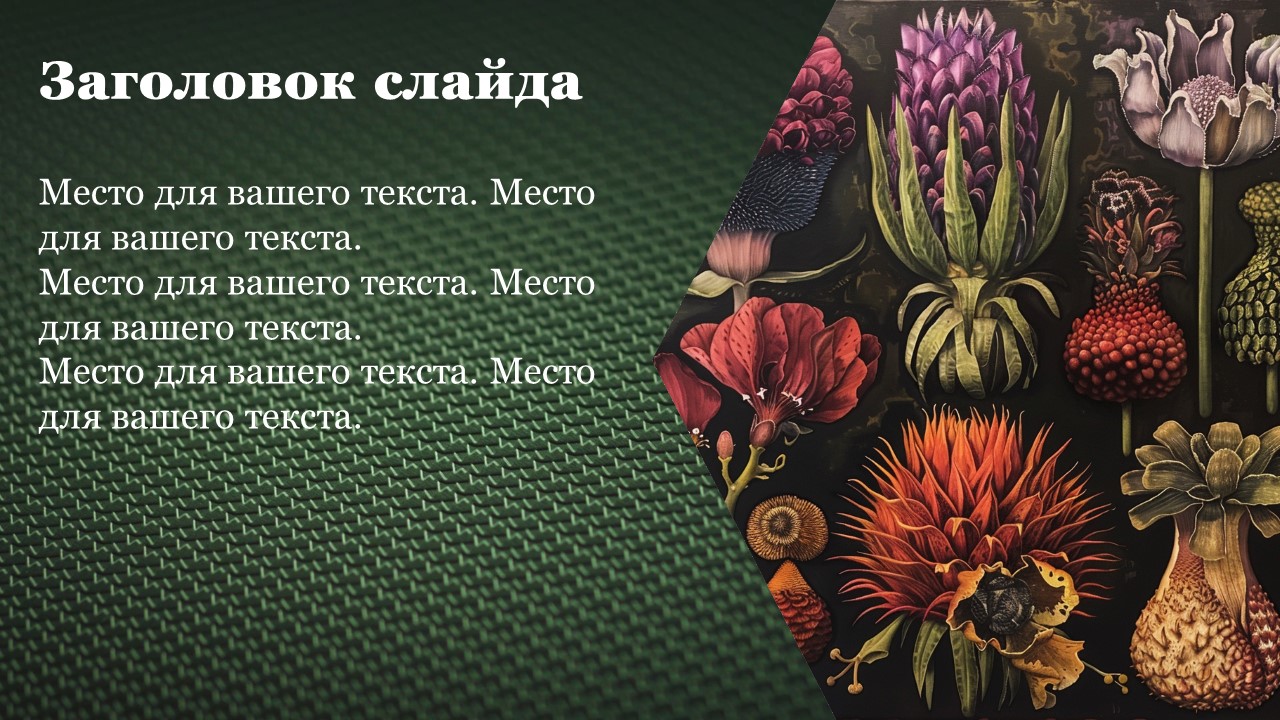 Презентация Классы покрытосеменных 