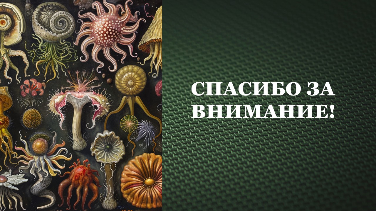 Презентация Классы покрытосеменных 