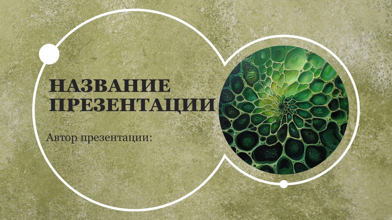 Презентация Клетка растений 