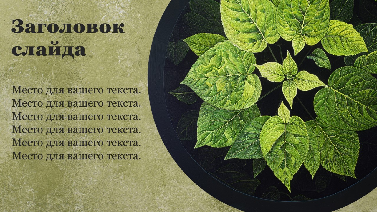 Презентация Клетка растений 