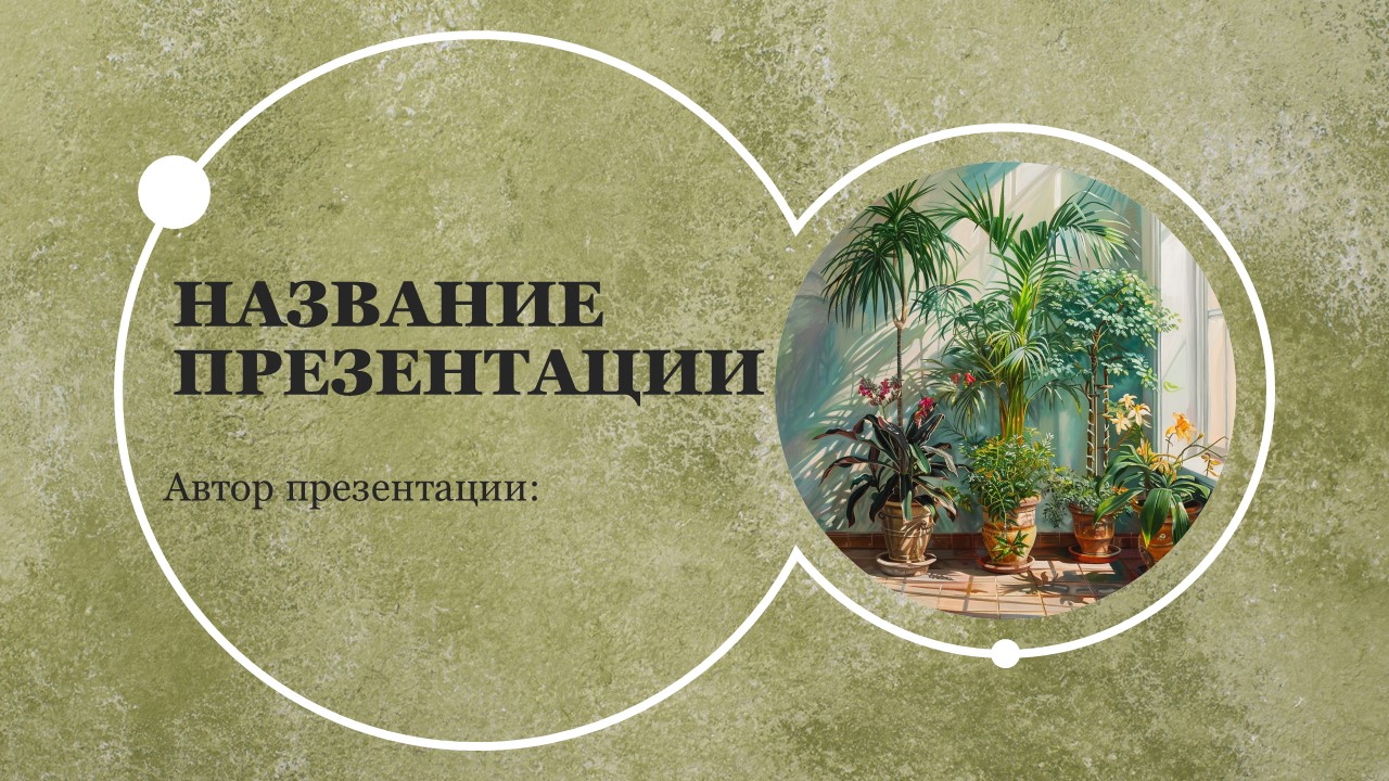 Презентация Комнатные растения в школе 