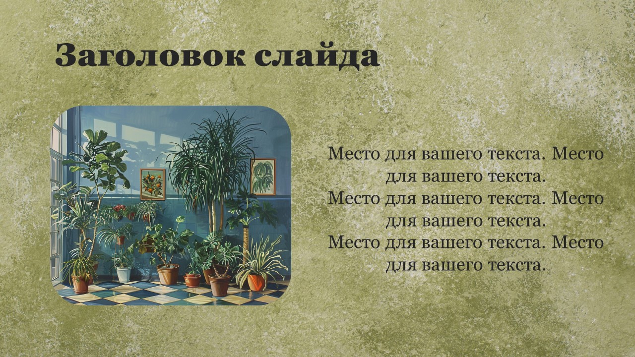 Презентация Комнатные растения в школе 