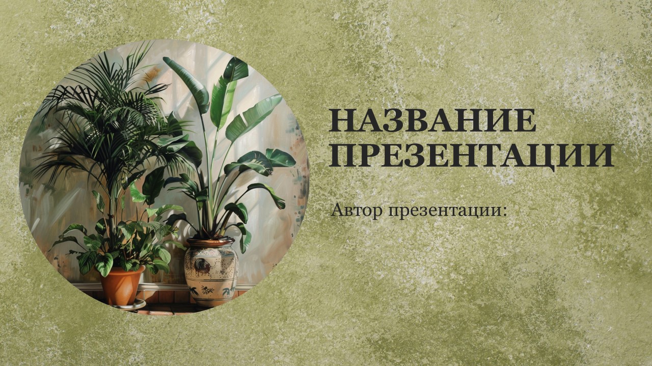 Презентация Комнатные растения 