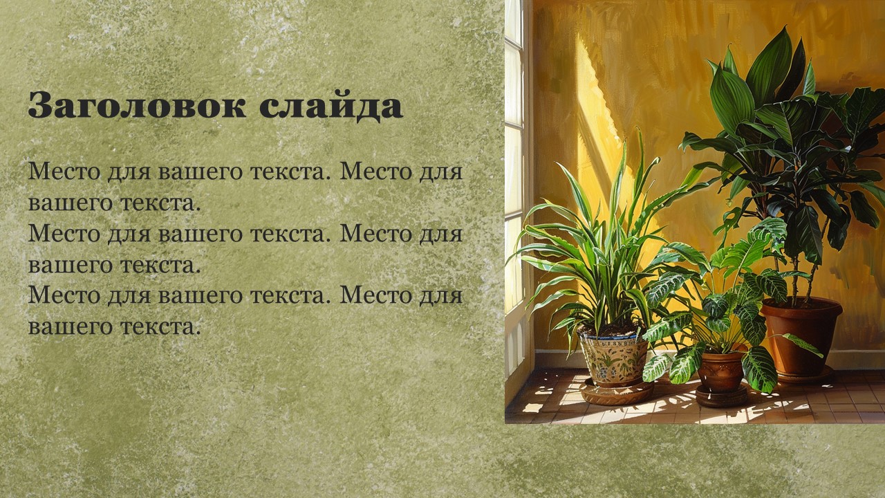 Презентация Комнатные растения 