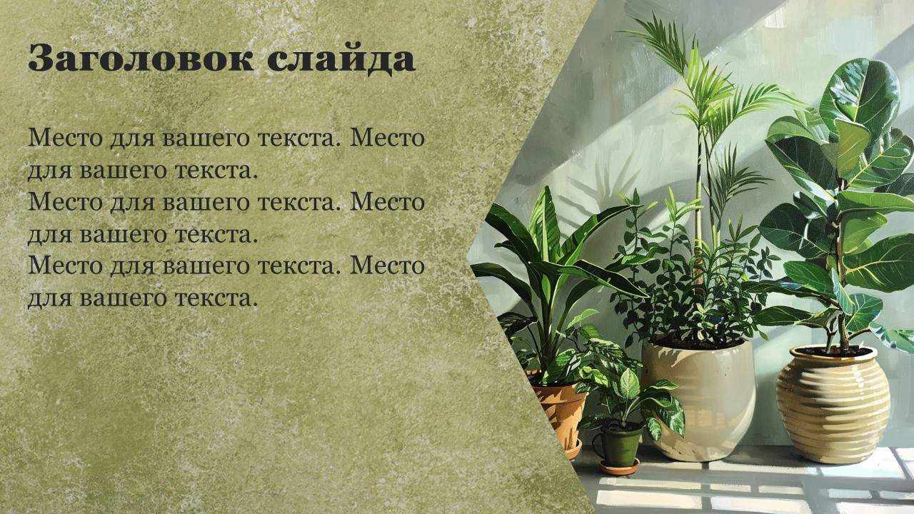 Презентация Комнатные растения 