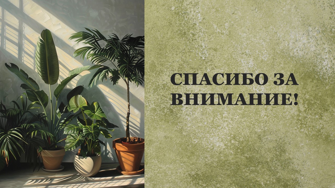 Презентация Комнатные растения 