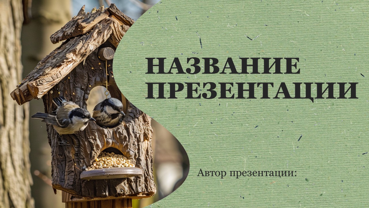 Презентация Кормушка 