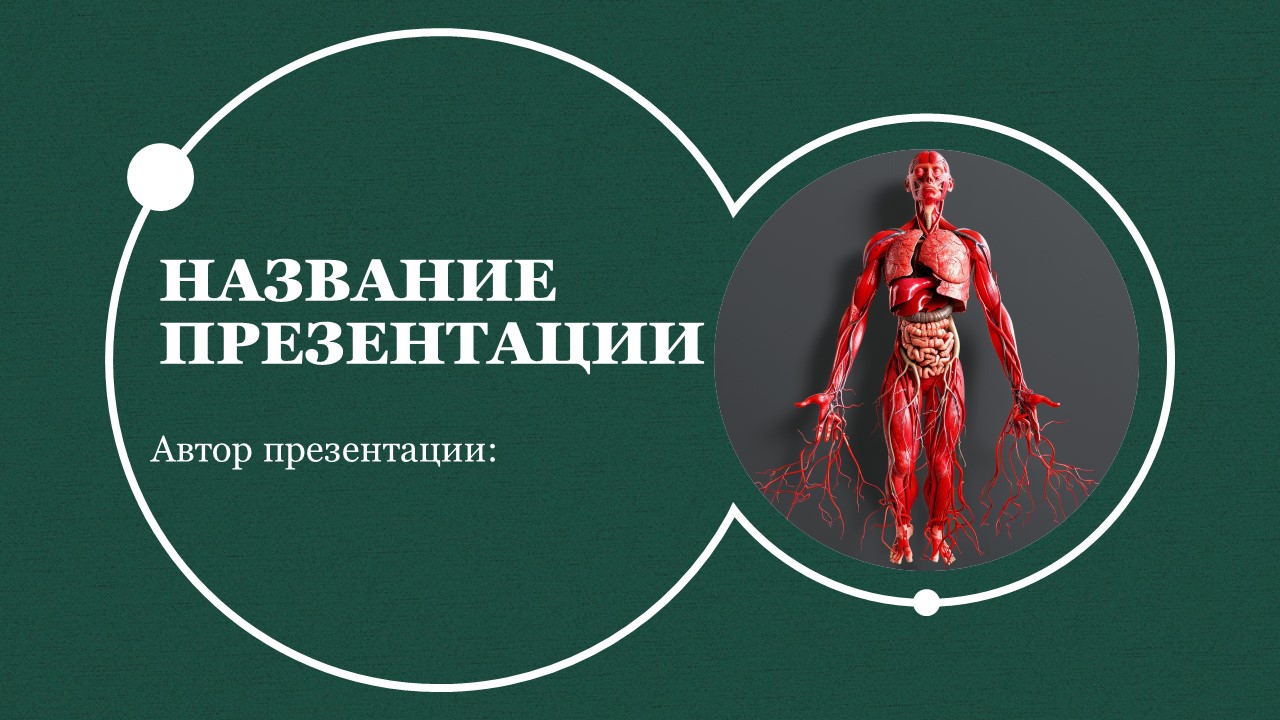 Презентация Кровеносная система человека 