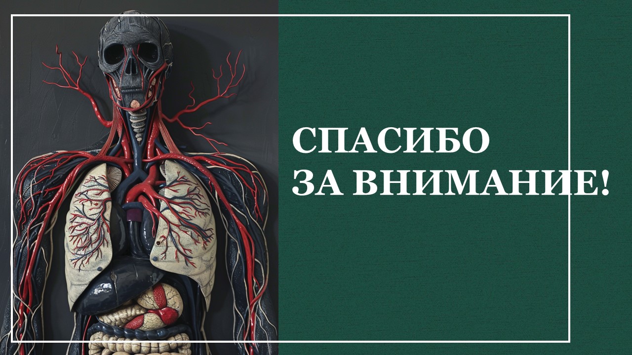 Презентация Кровеносная система человека 